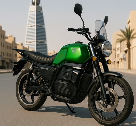 VEGO Electric Motorcycle