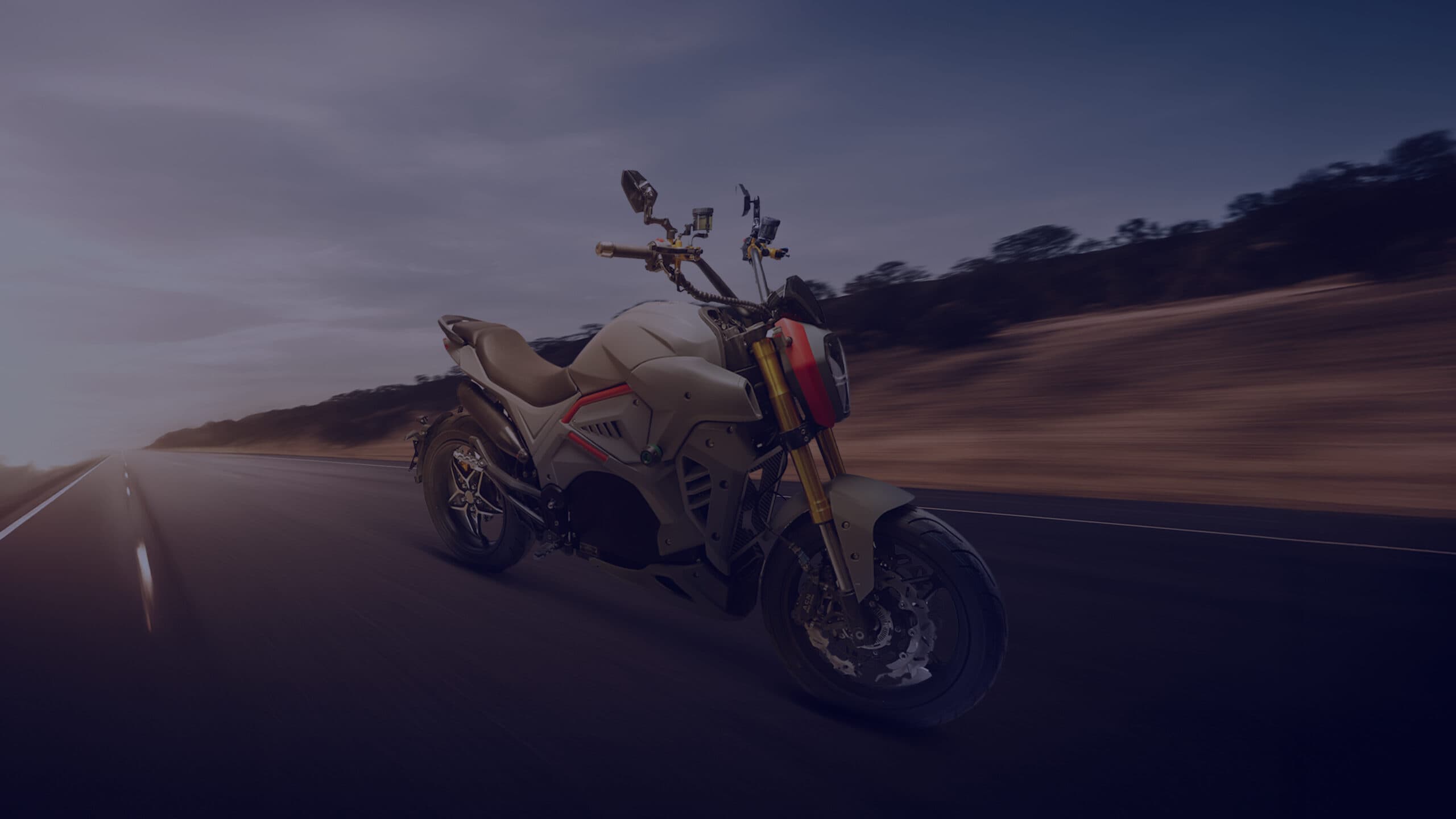 VEGO Electric Motorcycle